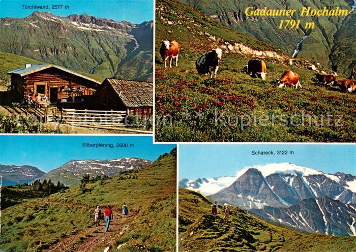 Badgastein AT Tuerchlwand Gadauner Hochalm Silberpfennig Schareck