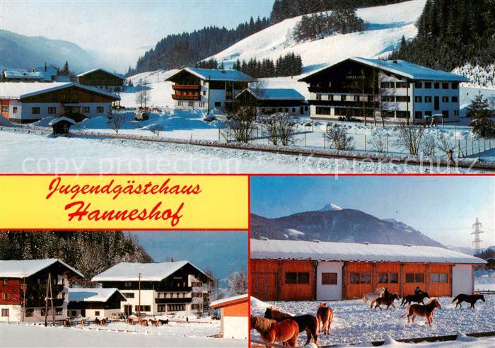 Flachau Jugendgaestehaus Hanneshof Pferdekoppel