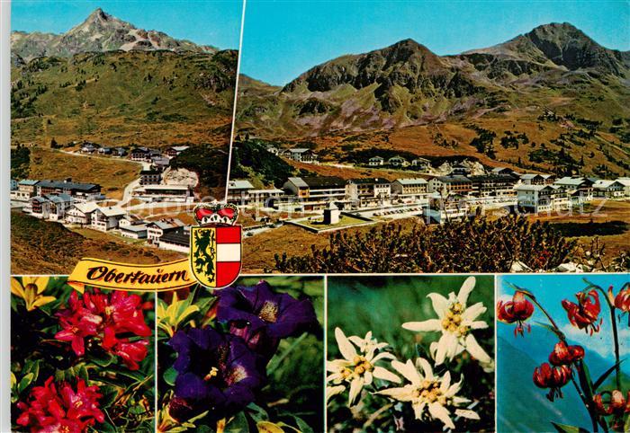 Obertauern AT Alte Roemerstrasse Radstaedter Tauernpass Alpenflora