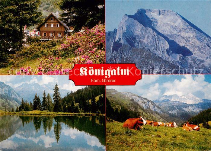 Zederhaus Lungau AT Koenigalm Seepartie Panorama Almvieh