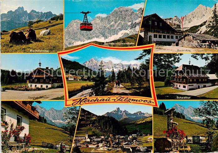 Flachau Bischofsmuetze Gasthof Zeferer Dachsteinsuedwandbahn Bachl Alm Schaidtho