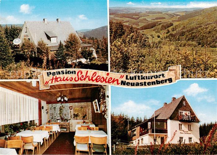Neuastenberg Pension Haus Schlesien Gastraum Landschaftspanorama