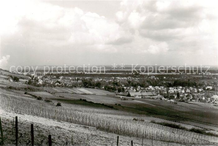 Laubenheim  Rhein Mainz