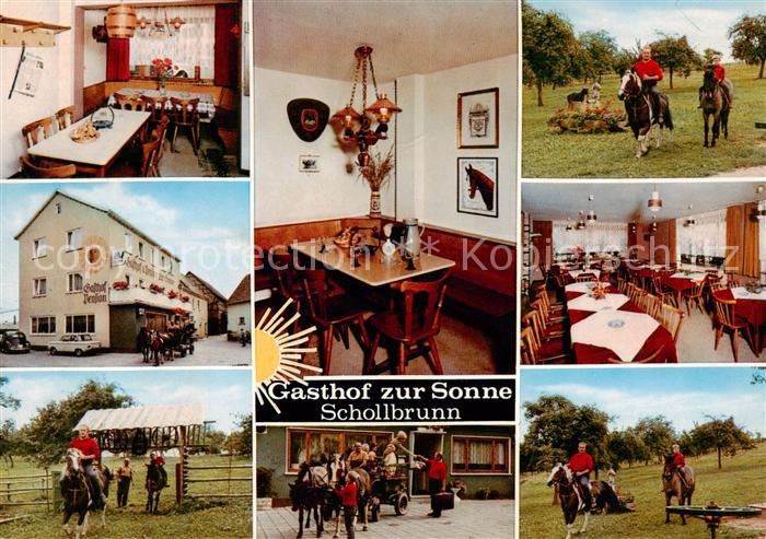 Schollbrunn Spessart Gasthof zur Sonne Tastraeume Reiten Pferdekutsche