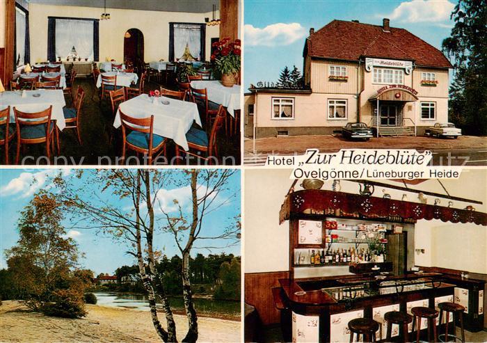 Hambuehren Hotel zur Heidebluete Gaststube Bar Panorama