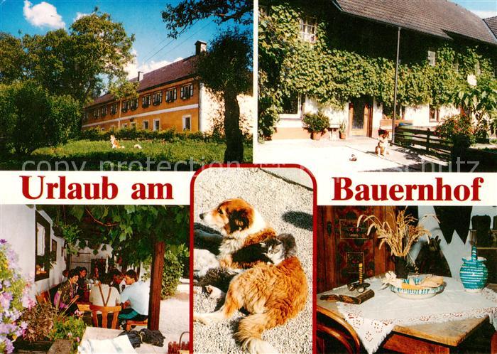 Klaus Vorarlberg AT Kerblgut Bauernhof Teilansichten