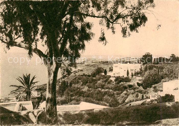 Sidi-Bou-Said Tunesie Vue generale
