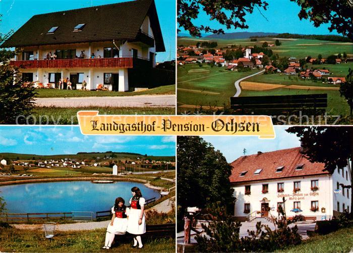 Herrischried Landgasthof Pension Ochsen Panorama Schwimmbad
