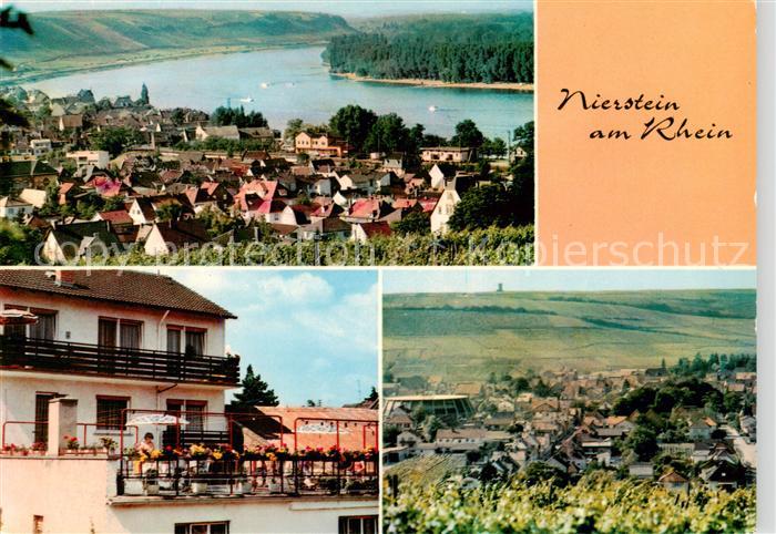 Nierstein Rhein Panorama Fremdenzimmer Eva Bingenheimer Panorama