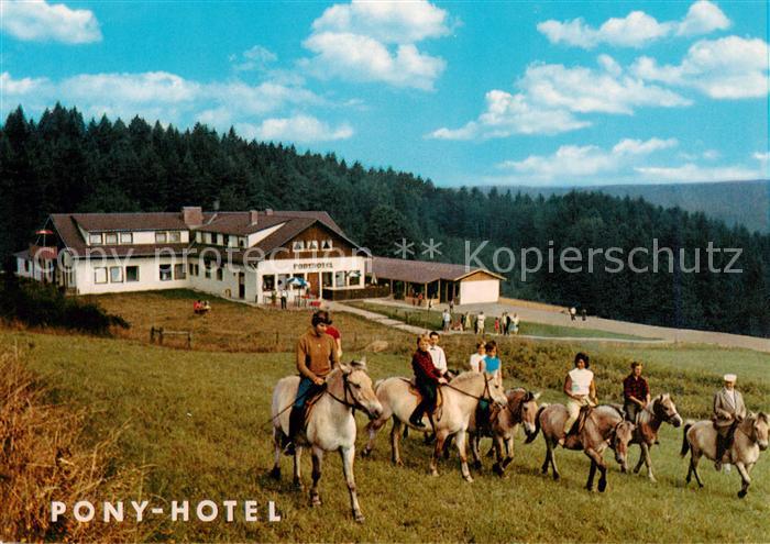 Hammelbach Grasellenbach Pony Hotel Ponyreiten