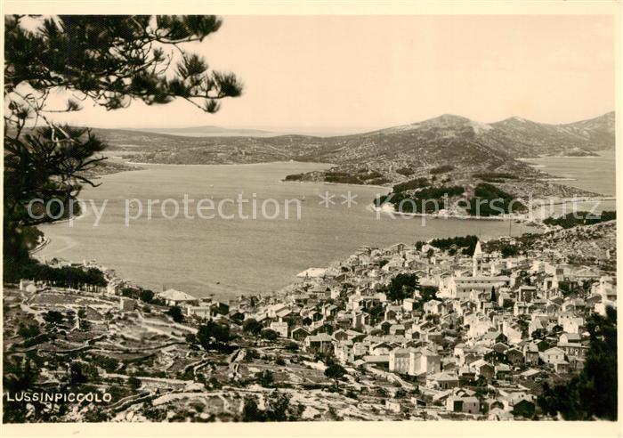 Lussinpiccolo Croatia Panorama