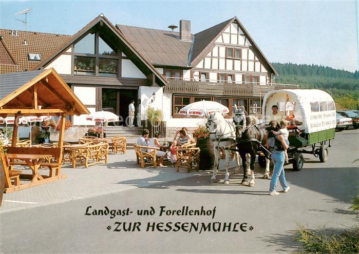Grossenlueder Landgasthaus und Forellenhof Zur Hessenmuehle Pferdewagen