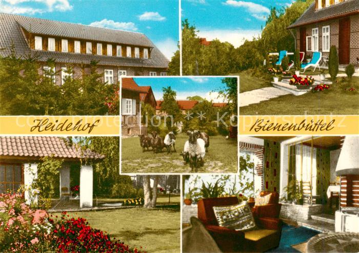 Bienenbuettel Privatpension Heidehof Garten Heidschnucken Kaminzimmer