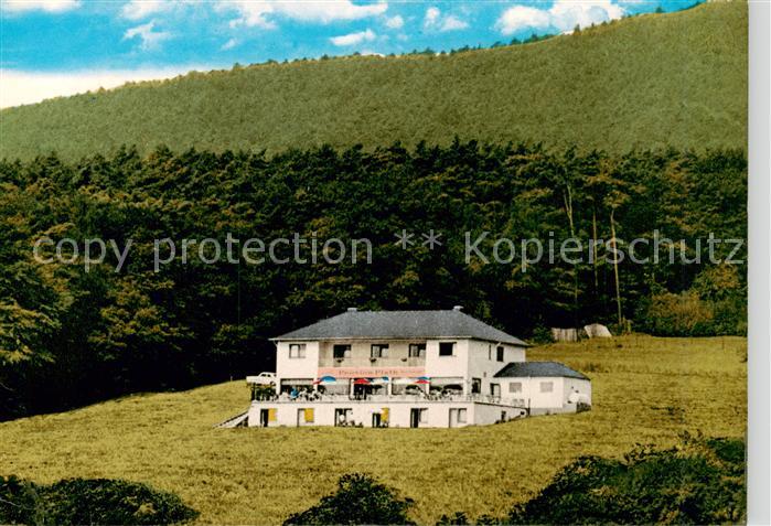 Oestrich-Winkel Cafe Plath Fliegeraufnahme