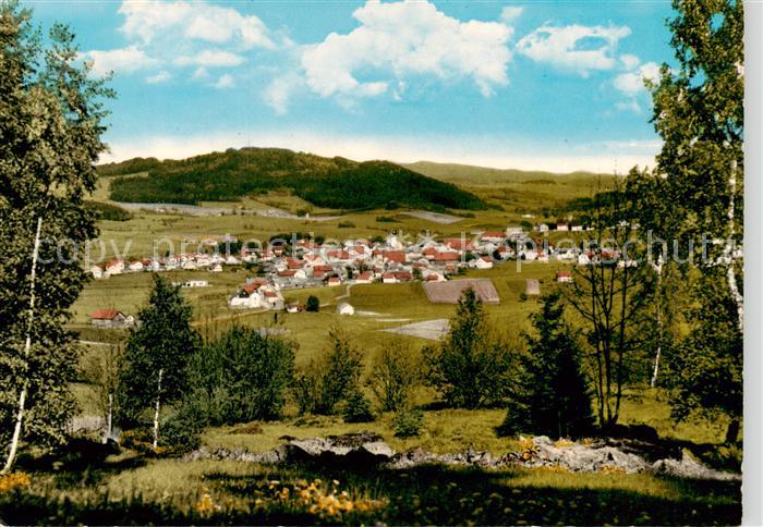 Ruhmannsfelden Panorama