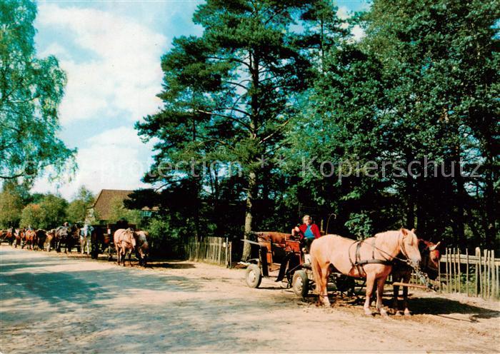 Undeloh Kutschwagenstation im Naturschutzpark Lueneburger Heide