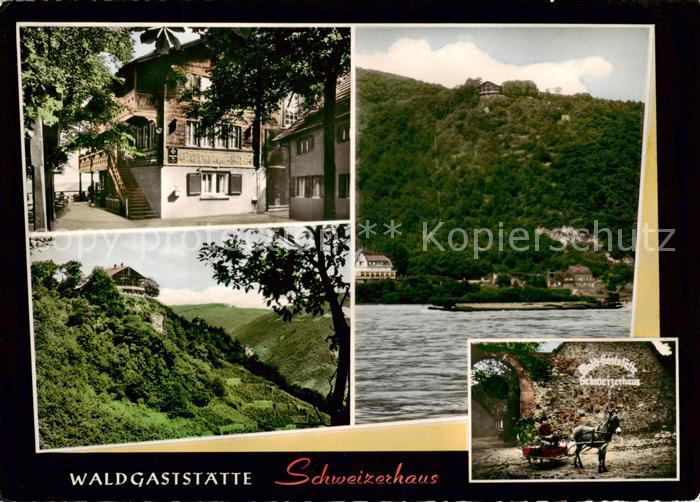 Assmannshausen Waldgaststaette Schweizerhaus Pension Eselwagen Blick ueber den R