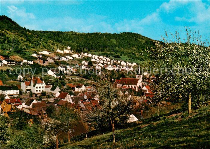 Eichenbuehl  Unterfranken Panorama Baumbluete