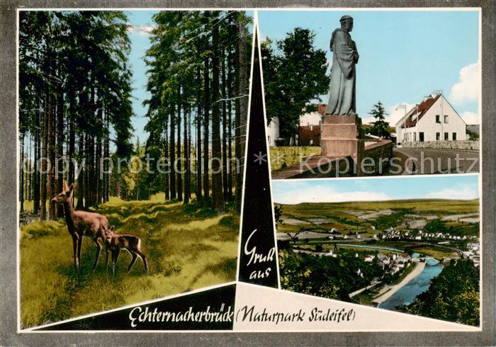 Echternacherbrueck Panorama Denkmal Waldpartie Rehe