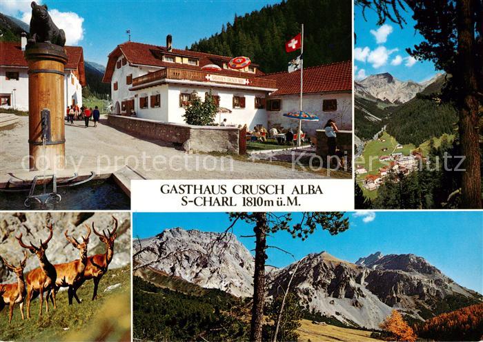 S Charl Gasthaus Crusch Alba Alpenpanorama Hirsche