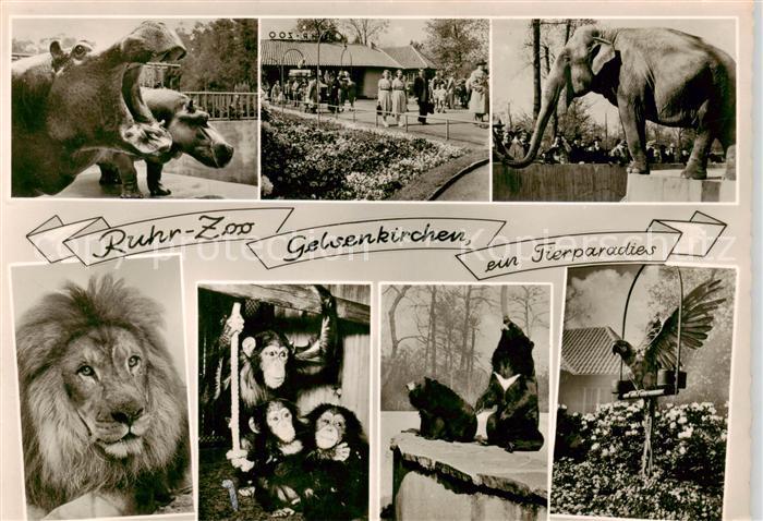 Zoo Gardin Zoologique-- Ruhr-Zoo Gelsenkirchen