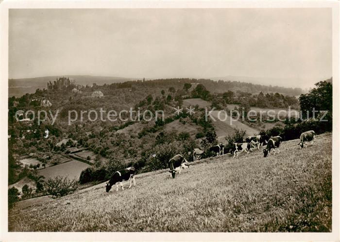 Marburg Lahn Panorama mit Blick auf das Schloss