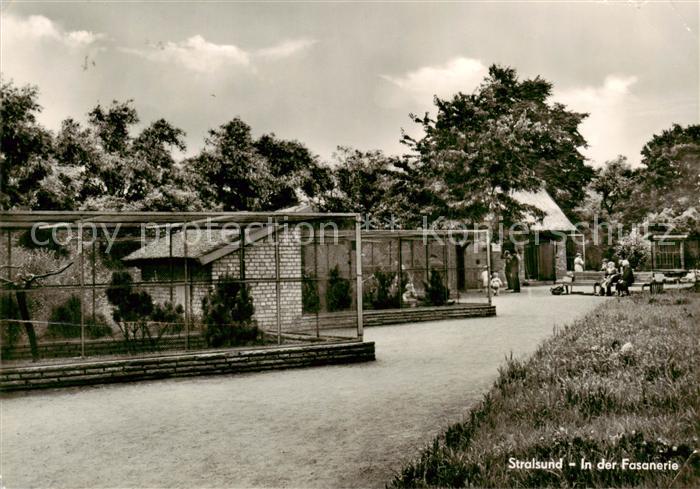 Stralsund In der Fasanerie