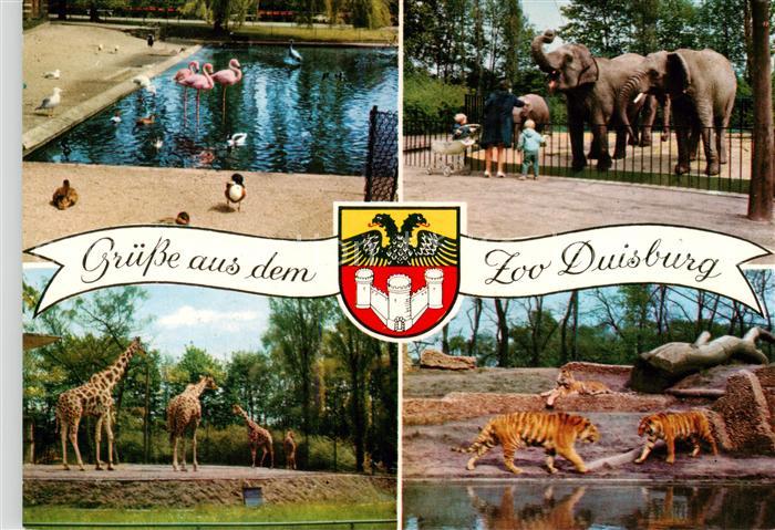 Duisburg  Ruhr Zoo Duisburg Flamingos Elefanten Giraffen Tiger