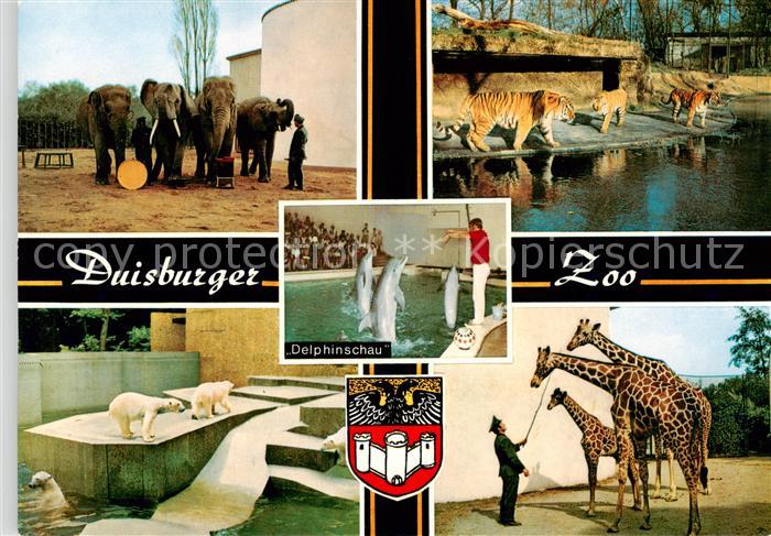 Duisburg  Ruhr Zoo Duisburg Eisbaeren Elefanten Giraffen Tiger