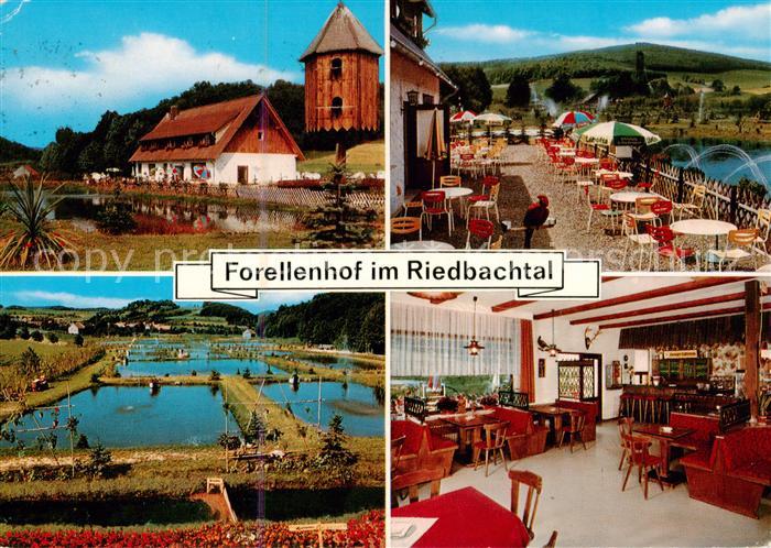 Bad Sooden-Allendorf Forellenhof im Riedbachtal Gaststaette Fischteiche Terrasse