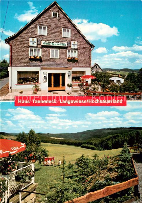 Langewiese Haus Tanneneck Panorama