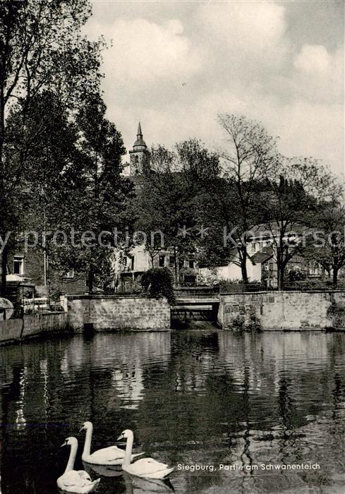 Siegburg Partie am Schwanenteich