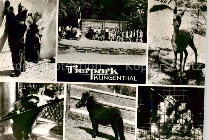 Klingenthal Vogtland Tierpark Teilansichten