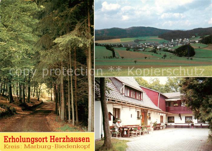 Herzhausen Gladenbach Waldweg Panorama Cafe Pension Forsthaus