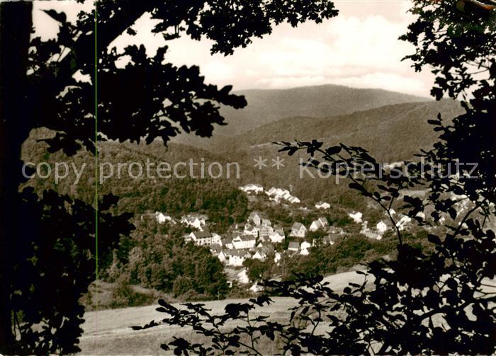 Altenbach Baden Waldhotel Haus Ella Panorama