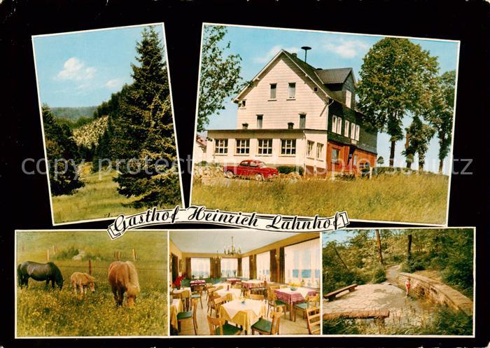 Feudingen Gasthof Heinrich Lahnhof Restaurant Pferdekoppel Landschaft