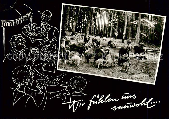 Hesselbach Odenwald Gasthaus Pension Drei Lilien Schwarzwild im Naturpark