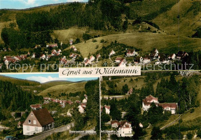 Wildemann Harz Panorama Seesener Strasse Muetterheim