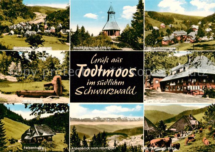 Todtmoos Schwarzwald BW Panorama Hochkopfturm Kurpark Felsenhaus Alpenblick vom