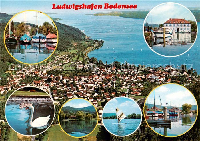 Ludwigshafen Bodman-Ludwigshafen Bodensee Bootshafen Schwaene Surfen Hafenpartie