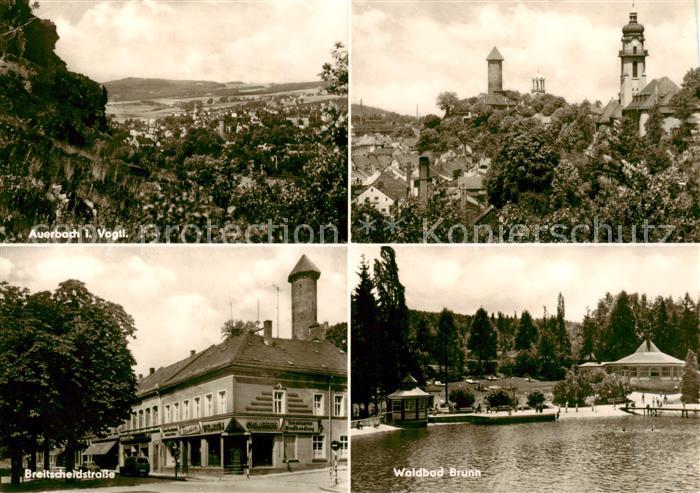 Auerbach  Vogtland Panorama Breitscheidstrasse Waldbad Brunn