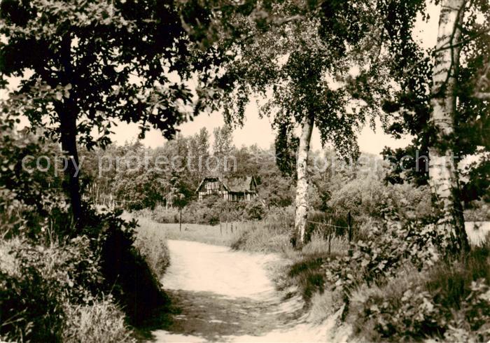 Schmannewitz Dahlen Sachsen Weg zur Foersterei und zum Alten Teich
