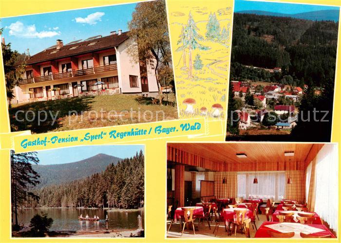 Regenhuette Bayerisch Eisenstein Gasthof Pension Sperl Gondelteich Gastraum