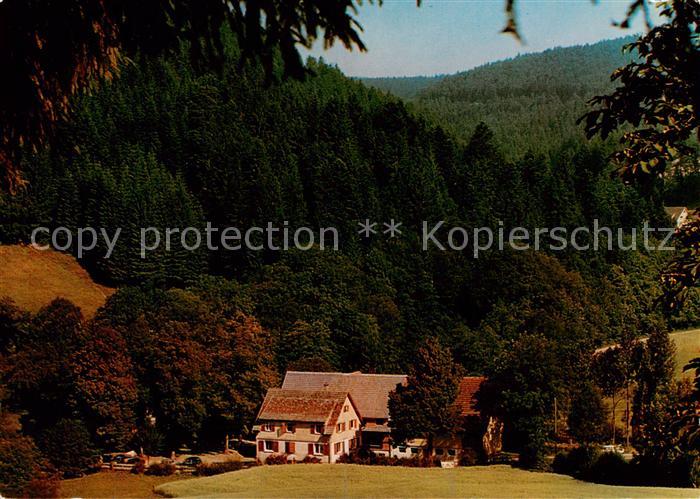 Ehlenbogen Alpirsbach Mittlere Muehle