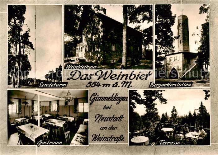 Gimmeldingen Weinbiethaus Sendeturm Bergwetterstation Gastraum Terrasse