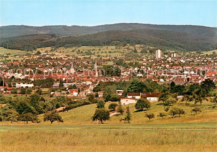 Michelstadt Panorama