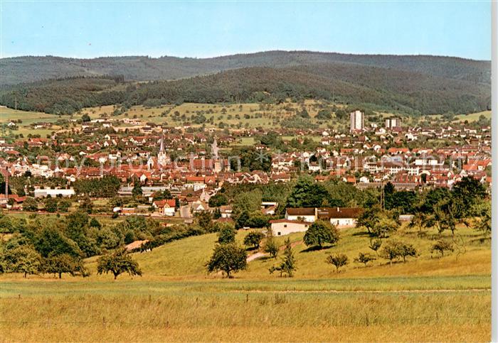 Michelstadt Panorama