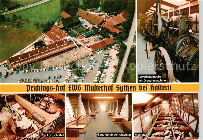 Sythen Haltern Prickings Hof Fliegeraufnahme Dampflokomobile mit Dreschmaschine