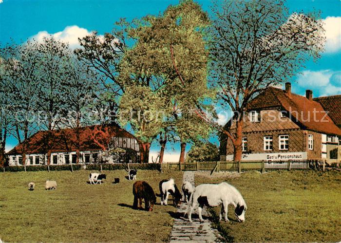 Grohnde Gast und Pensionshaus Grohnder Faehrhaus Ponys