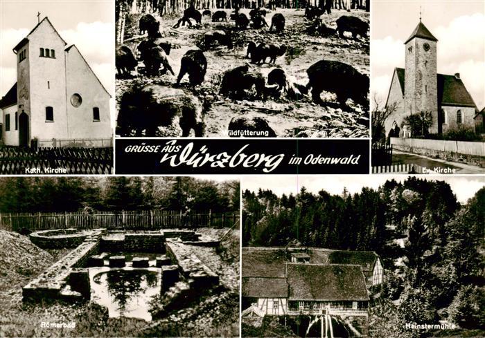 Wuerzburg Bayern Kirchen Wildfuetterung Roemerbad Heinstermuehle